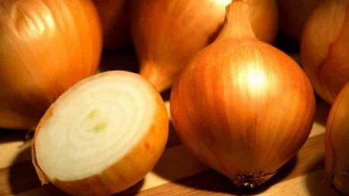 Как использовать лук-севок сибирский золотистый в кулинарии. Неприхотливый гибрид лука отечественного производства «Золотистый Семко»