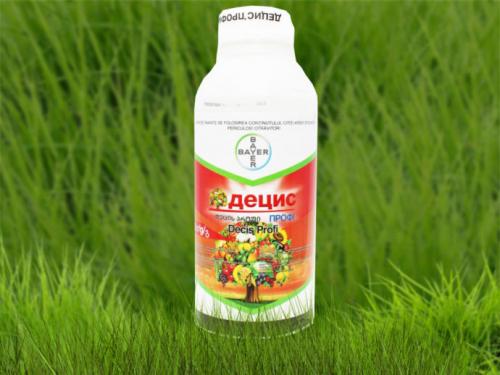 Чем обработать яблони и сливы весной. Обработка сливы ранней весной от вредителей и болезней: чем и как опрыскивать