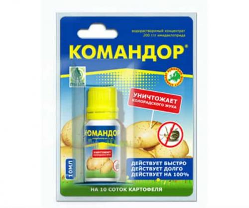 Чем обработать сливу весной от тли. Препараты для обработки