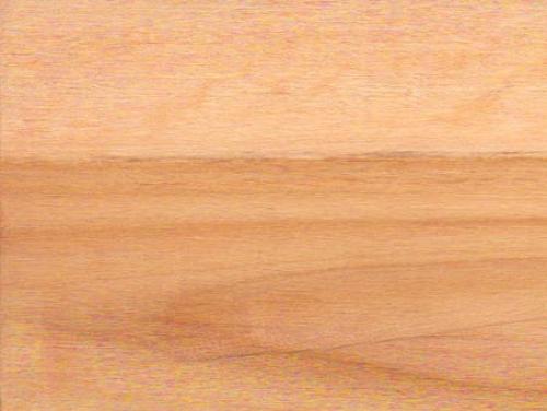 Посадка и уход за сливами. Основы посадки сливы 19 Посадка и уход за сливами. Основы посадки сливы 19