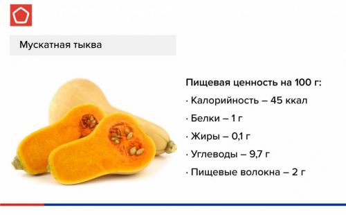 Когда сезон тыква. Когда собирать тыкву и чем обработать перед хранением 12