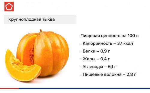 Когда сезон тыква. Когда собирать тыкву и чем обработать перед хранением 10