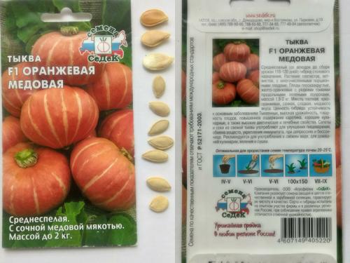 Тыква сорта. Сорта тыквы 2022 года — описание с фото