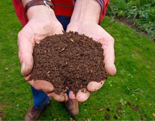 Когда лучше удобрять огород навозом осенью или весной. Десять советов по использованию удобрений 06 Когда лучше удобрять огород навозом осенью или весной. Десять советов по использованию удобрений 06