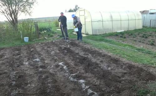 Когда лучше удобрять огород навозом осенью или весной. Десять советов по использованию удобрений 07 Когда лучше удобрять огород навозом осенью или весной. Десять советов по использованию удобрений 07