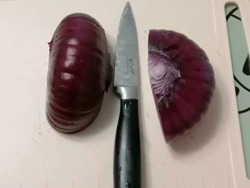 Как вырастить лук Ялтинский из семян: советы и рекомендации 03 Как вырастить лук Ялтинский из семян: советы и рекомендации 03