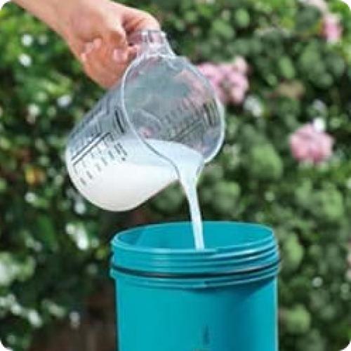 Можно ли обрезать садовую землянику весной. КАК ОБРАБАТЫВАТЬ КЛУБНИКУ (ЗЕМЛЯНИКУ САДОВУЮ) ВЕСНОЙ ПОСЛЕ ЗИМЫ