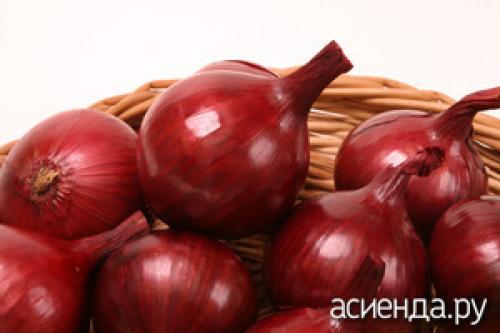 Какие сорта сладкого лука наиболее популярны среди огородников в 2025 году. Лучшие сладкие сорта лука