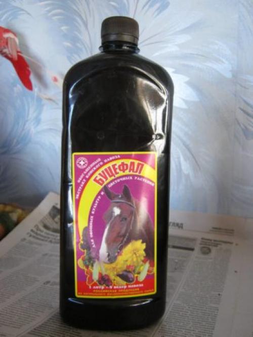 Чем подкормить лилейники в июле. 