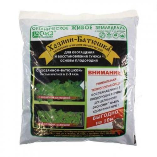 Чем удобрять лилейник осенью под зиму. Чем и как подкормить лилейники