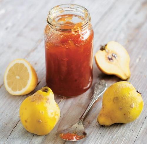 Айва японская посадка и уход. Описание растения и интересные факты о хеномелесе (айве японской)