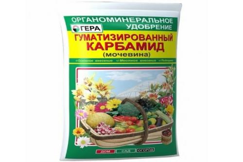 Подкормка картофеля коровяком. Корневая и внекорневая подкормка картофеля, чем удобрить при посадке и после всходов