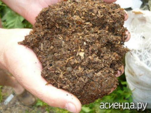 Свиной навоз для картофеля. Годится ли свиной навоз на роль удобрения?