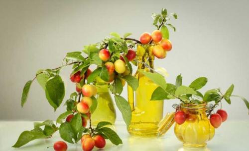 Алыча желтая польза. Польза алычи: обзор витаминов, минералов и полезных веществ в составе фрукта. 130 фото алычи и видео описание приготовления варенья и блюд с алычой