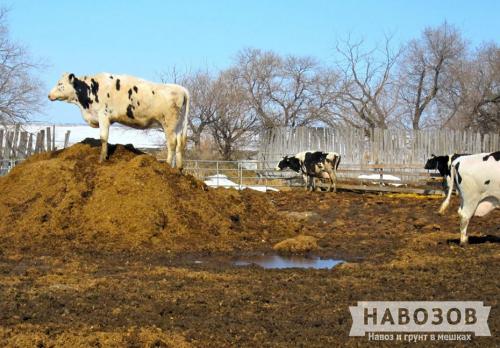 Виды навоза