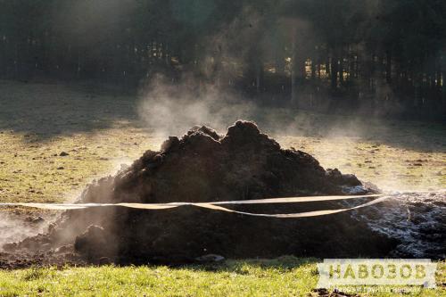 Виды навоза