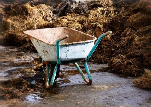 Как вносить навоз в зависимости от вида. Навоз в качестве удобрения 05