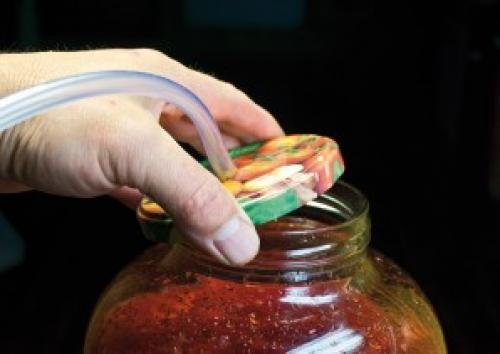 Можно ли сделать вино из земляники и как это сделать. Земляничное вино