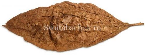 Как определить спелость табака. Уборка листьев табака, как узнать, что лист созрел 17 Как определить спелость табака. Уборка листьев табака, как узнать, что лист созрел 17