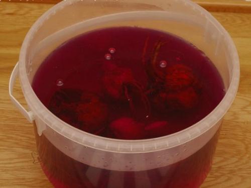 Пересадить лилии осенью на другое место. Когда пересаживать лилии осенью, чтобы избежать ошибок