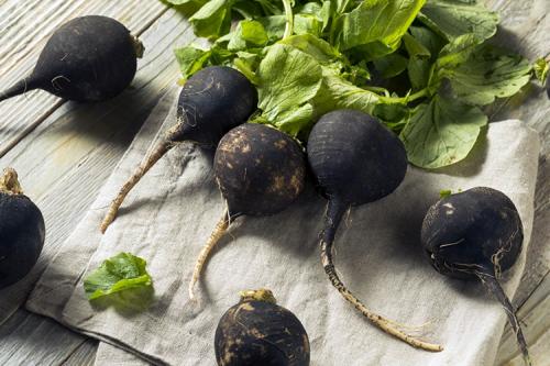 Редька желтая польза и вред. Польза редьки для здоровья 04