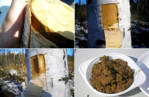 Старинные блюда из овощей.  Меню времен князя Владимира Крестителя (рубеж Х - ХI вв.)