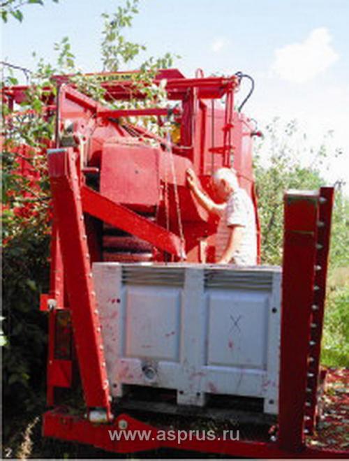 Уборка вишни. Опыт уборки вишни разными видами машин