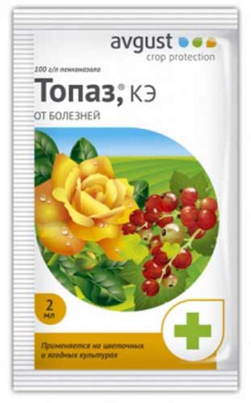 Мучнистая роса чем обработать. Химические препараты от мучнистой росы