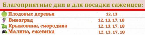 Дачный календарь садовода и огородника на август 2023. Влияние космоса на земледелие 04