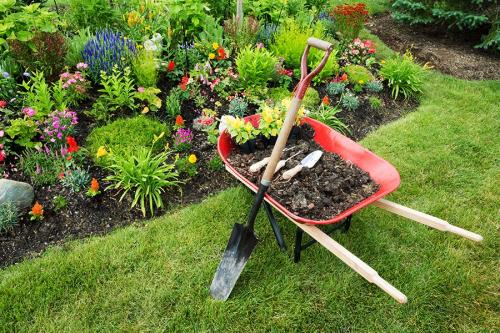 Дачный календарь садовода и огородника на август 2023. Влияние космоса на земледелие 10