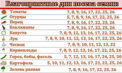 Дачный календарь садовода и огородника на август 2023. Влияние космоса на земледелие 02