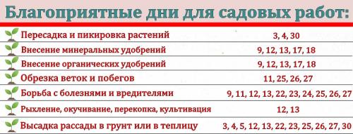 Дачный календарь садовода и огородника на август 2023. Влияние космоса на земледелие 05
