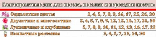 Дачный календарь садовода и огородника на август 2023. Влияние космоса на земледелие 03