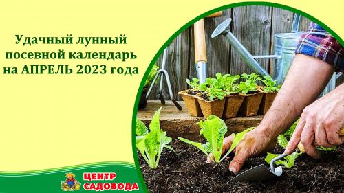Дачный календарь садовода и огородника на август 2023. Влияние космоса на земледелие 01