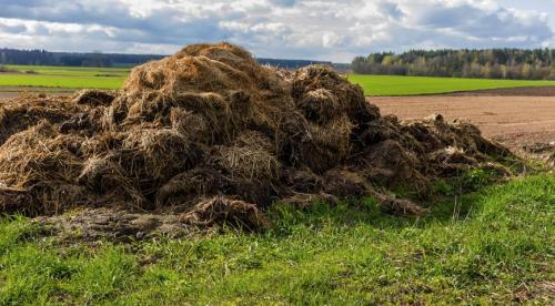 Органика для вашего участка. 1 Буртовой метод. 04 Органика для вашего участка. 1 Буртовой метод. 04