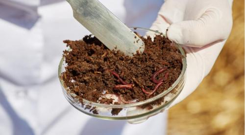 Органика для вашего участка. 1 Буртовой метод. 03 Органика для вашего участка. 1 Буртовой метод. 03