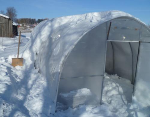 Зачем в теплицу накидывать снег. Нужен ли снег зимой в теплице 01