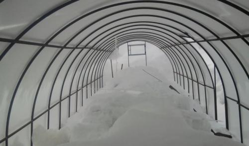 Нужно ли накидывать снег в теплицу весной. Зачем забрасывать снег в теплицу