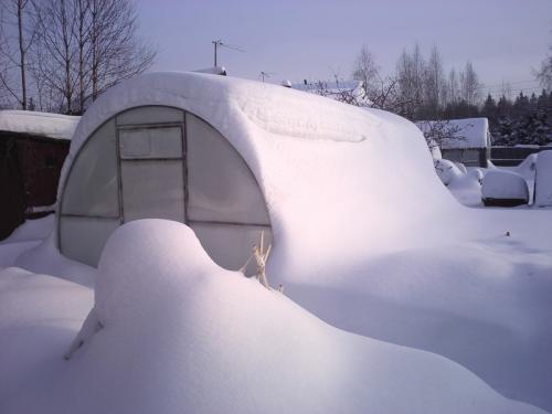 Нужно ли накидывать снег в теплицу весной. Зачем забрасывать снег в теплицу
