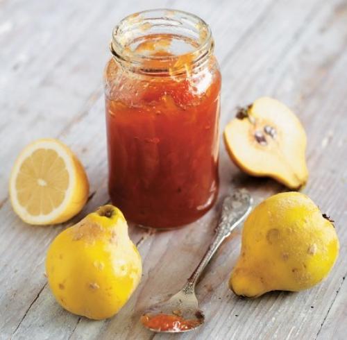 Айва японская зимостойкость. Описание растения и интересные факты о хеномелесе (айве японской)