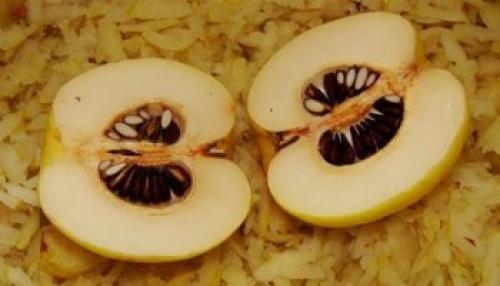 Размножение айвы японской семенами и черенками. Как укоренить черенки японской айвы 01