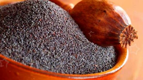 Посадка мака декоративного. Выращивание мака из семян 08 Посадка мака декоративного. Выращивание мака из семян 08