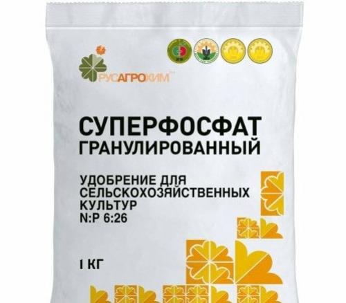 Что добавить в землю при посадке чеснока. Что внести в почву перед и при посадке чеснока осенью: варианты удобрений