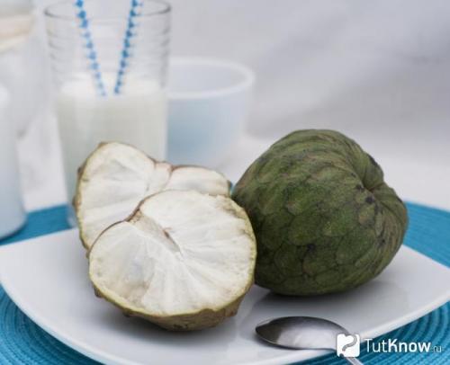 Черимойя, как растет. Черимойя: что это за фрукт и чем он полезен 01 Черимойя, как растет. Черимойя: что это за фрукт и чем он полезен 01