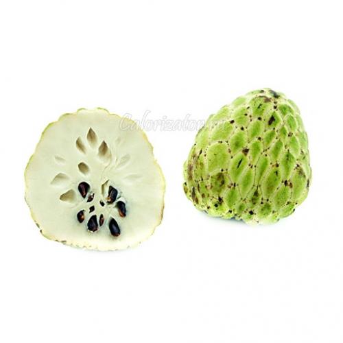 Черимойя состав. Черимойя