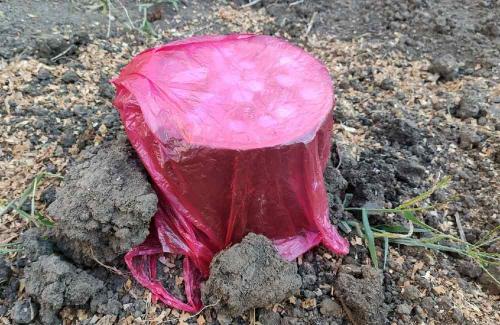 Как избавиться от пня с помощью селитры. Как удалить пень с помощью селитры – пошаговая инструкция