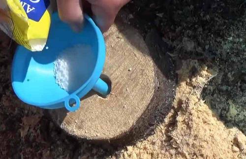 Как избавиться от пня с помощью селитры. Как удалить пень с помощью селитры – пошаговая инструкция