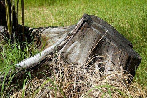 Как убрать пень за один день. 7 способов убрать пень с участка без корчевания