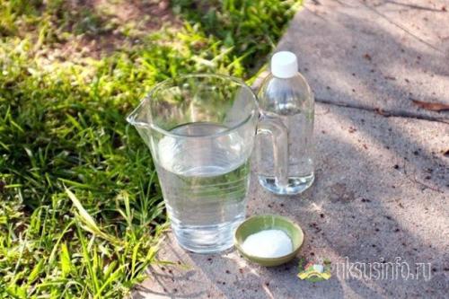 Как избавиться от сорняков с помощью уксуса. Уксус против сорняков: оптимальные пропорции