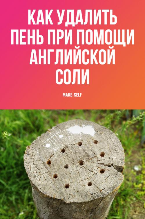 Как избавиться от пней и корней деревьев на участке.. Что такое пень, и чем он мешает? 07